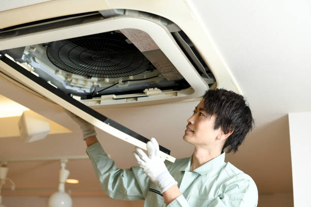 Best Affordable Duct Cleaning Services  in Dagsboro, DE